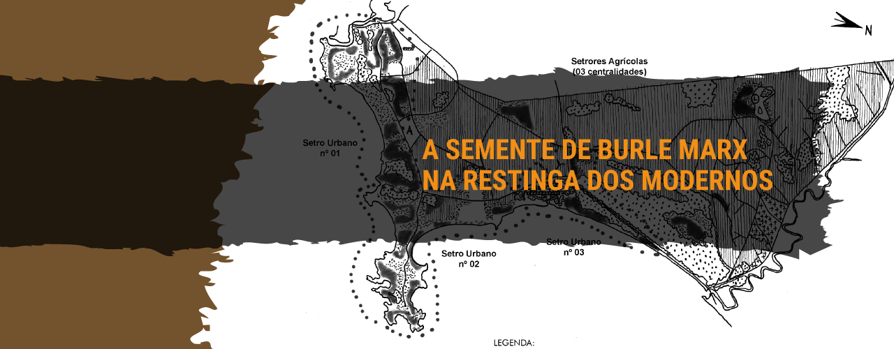 A semente de Burle Marx na restinga dos modernos