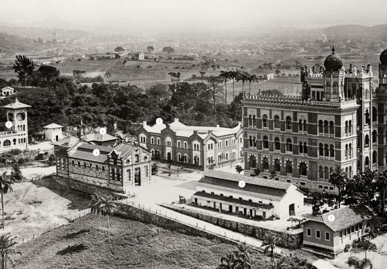 Fiocruz lança Guias dos Acervos Culturais das Ciências e da Saúde